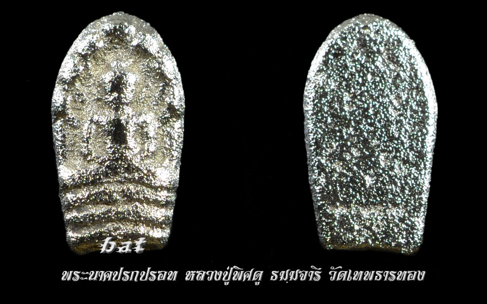 พระนาคปรกปรอท.jpg