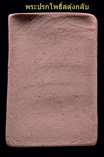 248036.jpg