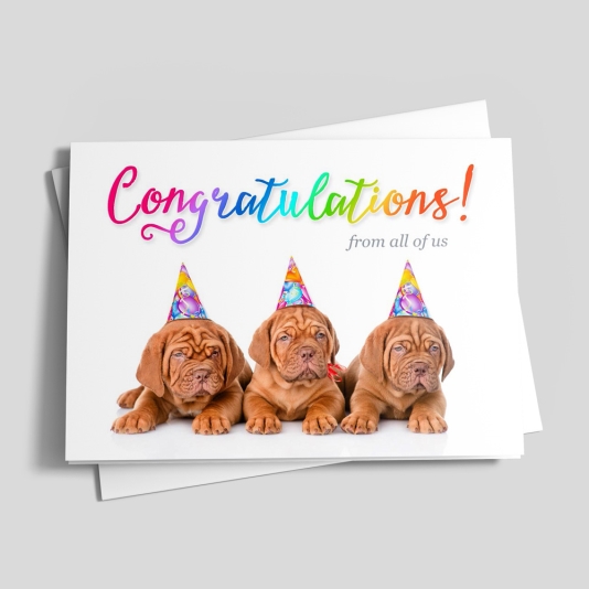 congratulation-pups_CD10341_1_534x534.jpg