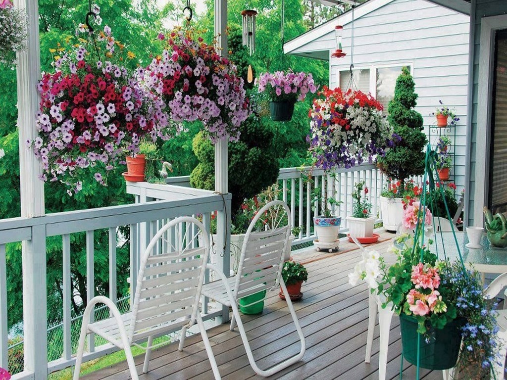 flowers-balcony-flowers-fresh-lovely-white-wooden-serene-morning-images.jpg