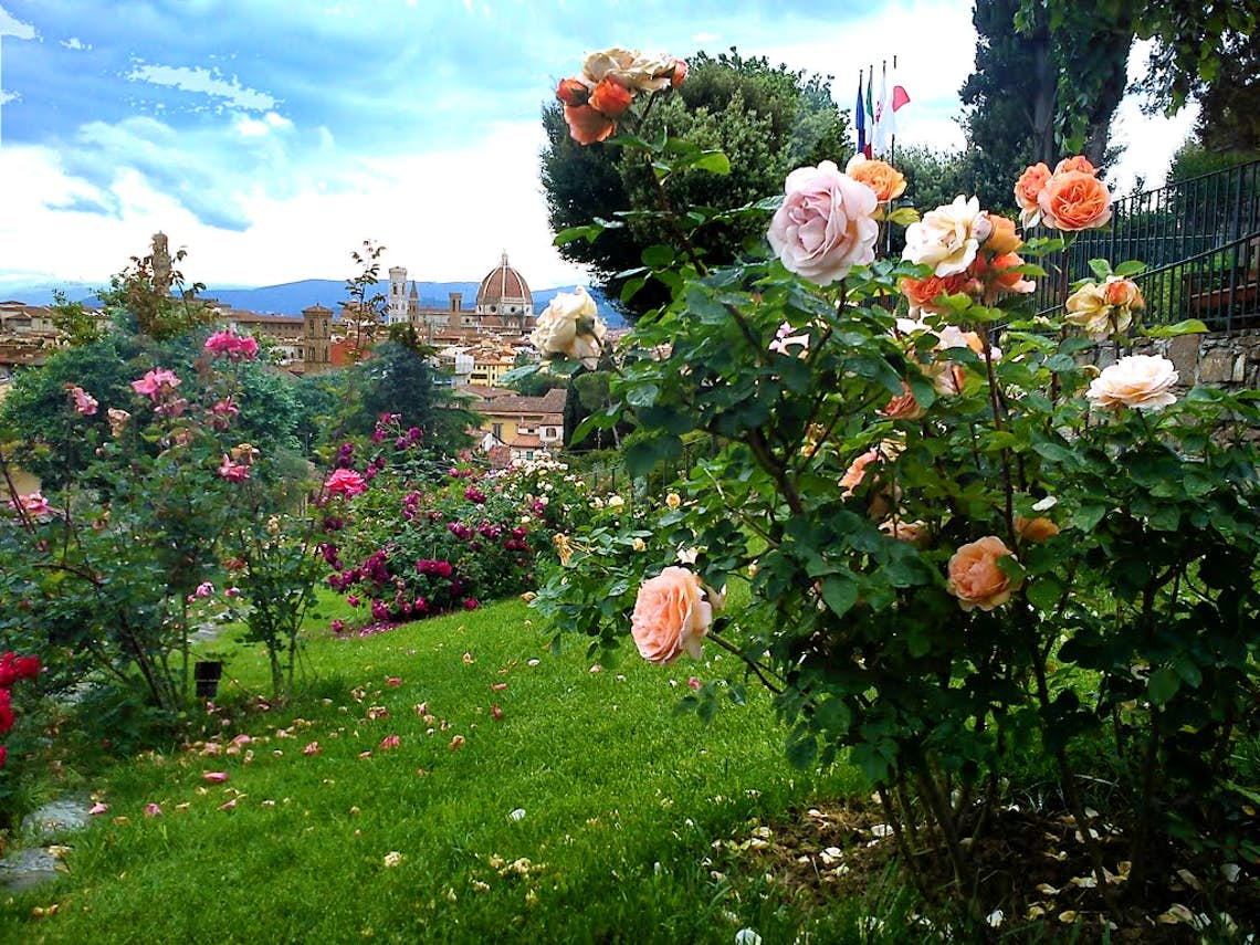 rose-garden.jpg