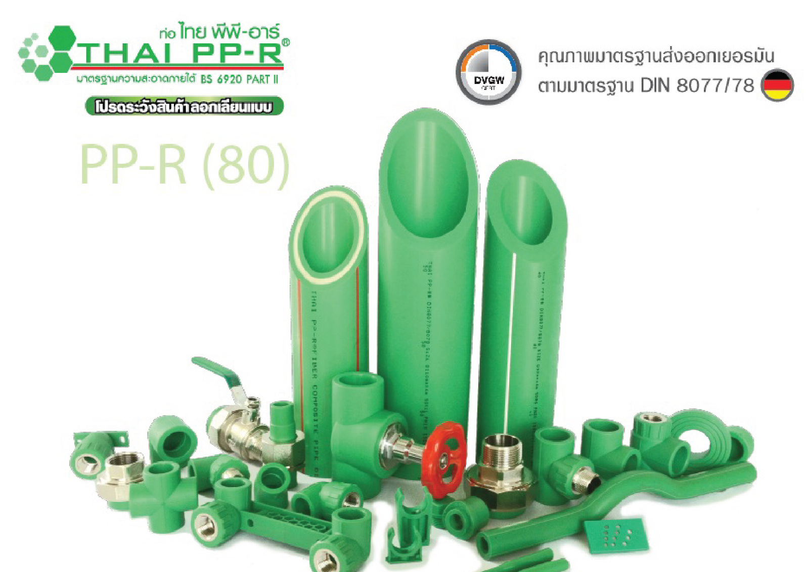 Thai-ppr-for-web-01-01.jpg